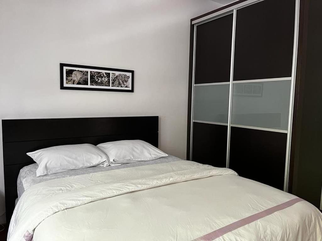 Condesa Residence Amsterdam D Sunny 2Bed 1Bath Apt In Condesa Mexico City Luaran gambar