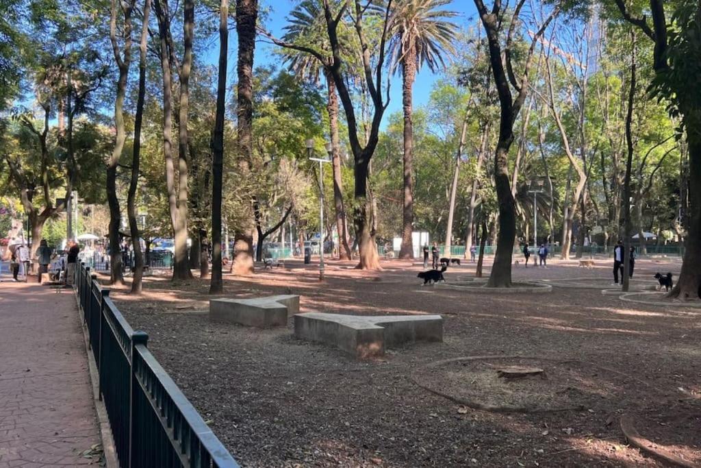 Condesa Residence Amsterdam D Sunny 2Bed 1Bath Apt In Condesa Mexico City Luaran gambar