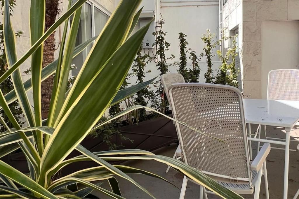 Condesa Residence Amsterdam D Sunny 2Bed 1Bath Apt In Condesa Mexico City Luaran gambar