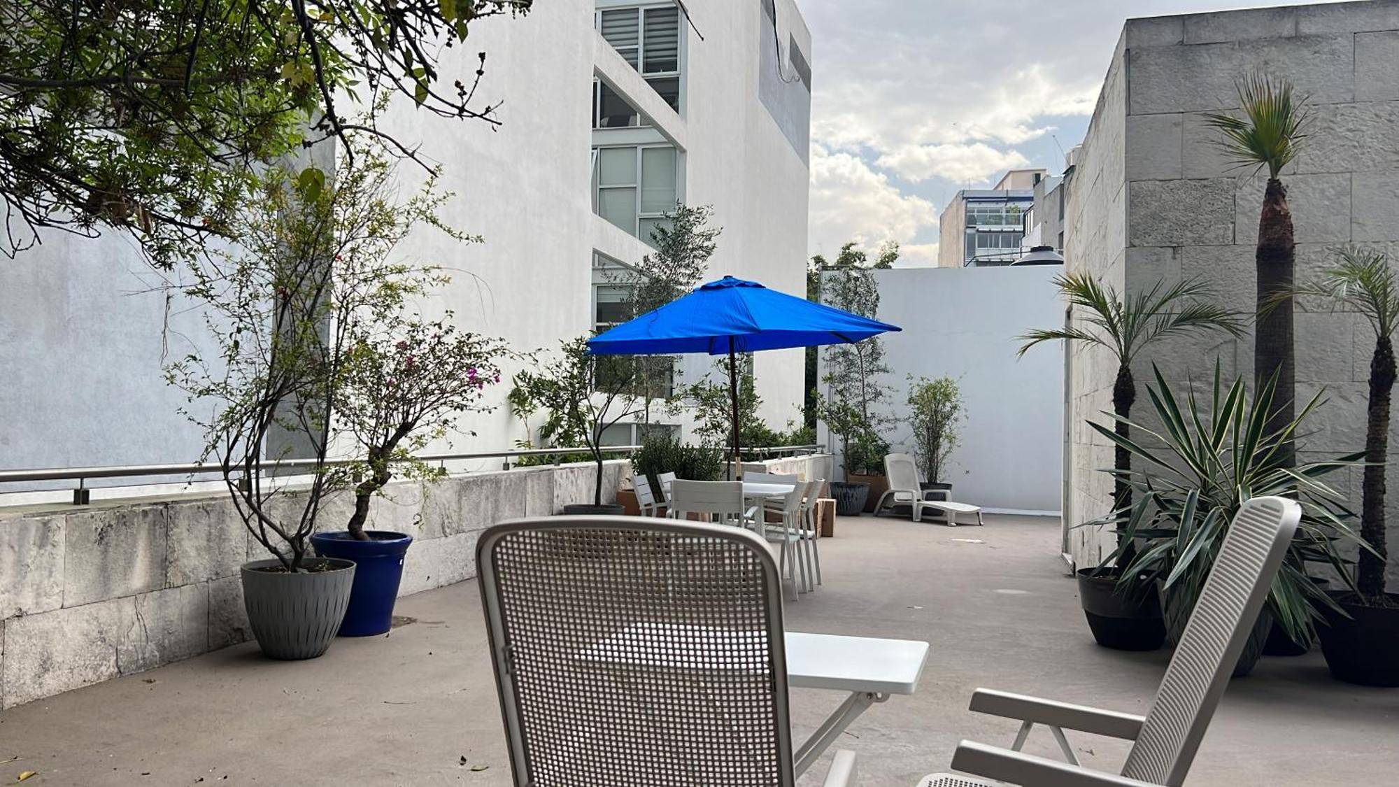 Condesa Residence Amsterdam D Sunny 2Bed 1Bath Apt In Condesa Mexico City Luaran gambar